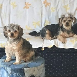 Meet your Posher, Trina